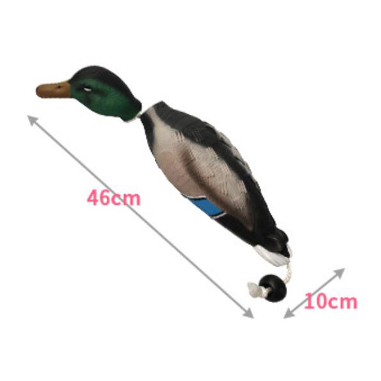Decoy Duck Plastic - Mallard Duck Decoy Simulation Plastic Floating