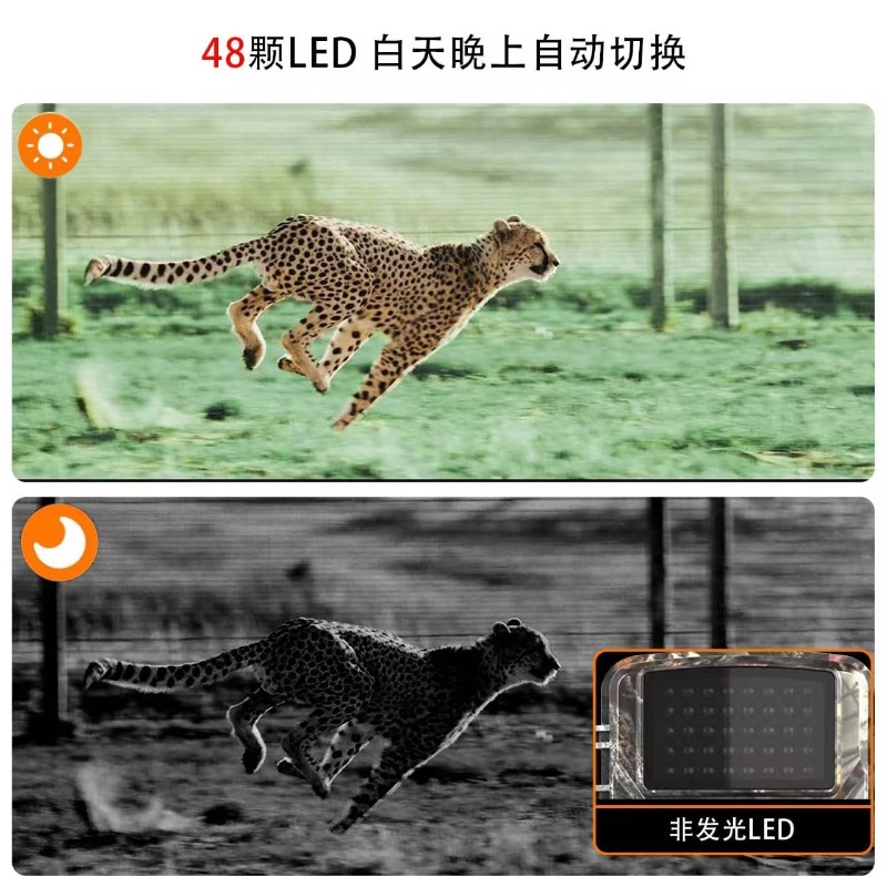 HOT SALE DL001 Hunting Camera  - Outdoor Hunting Images ulasan dan harga