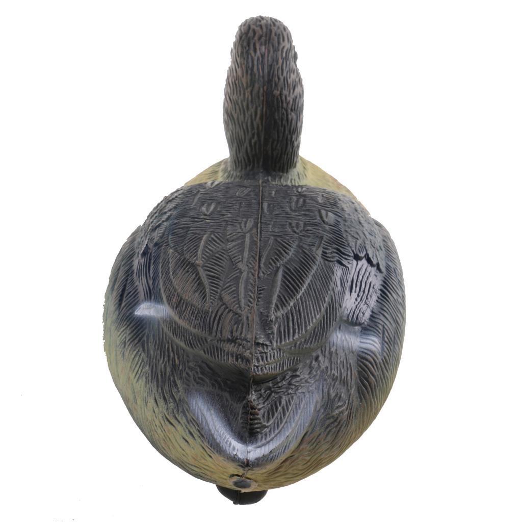 Durable Plastic Duck Decoy Hun - Decoy Duck Plastic ulasan dan harga