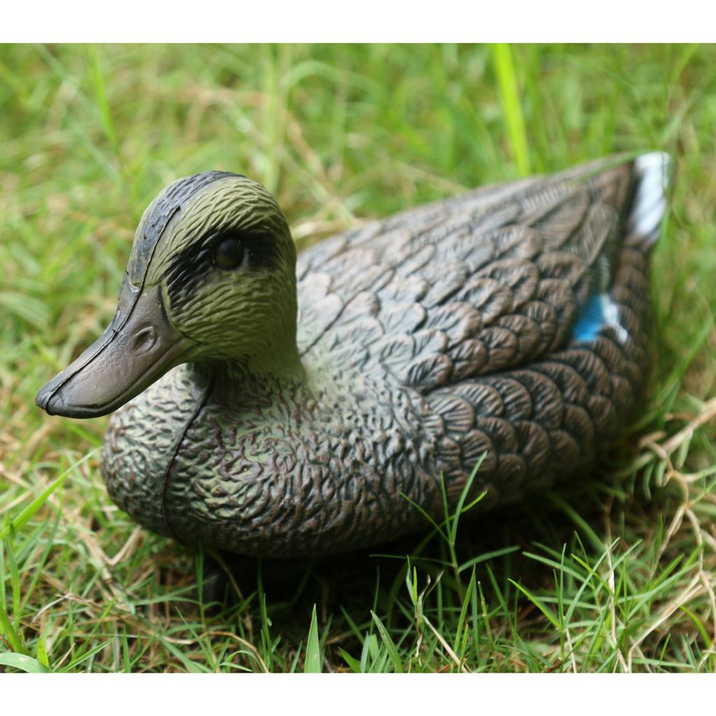 Mandarin Duck Ornaments Realis - Decoy Duck Plastic ulasan dan harga