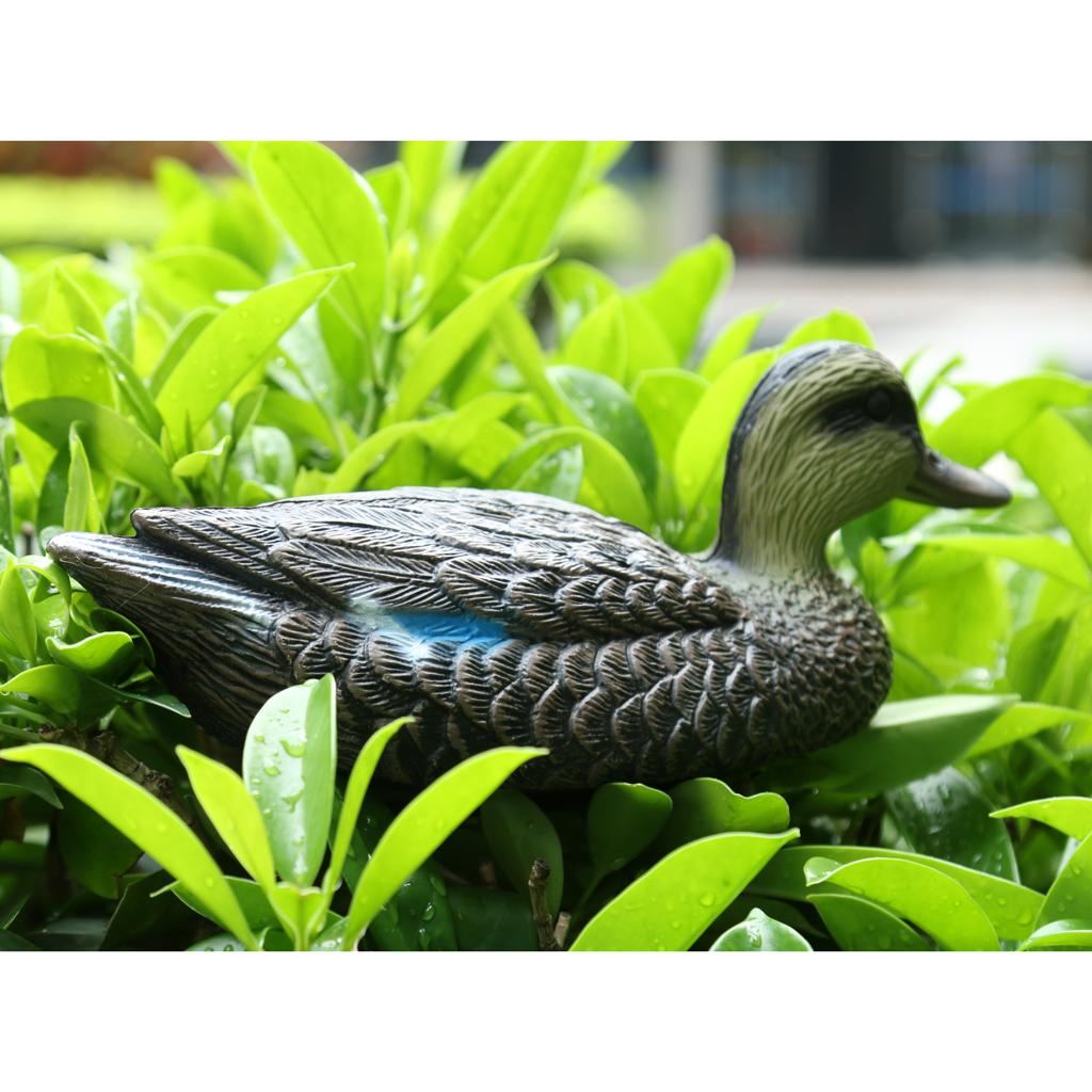 Lifesize Plastic Mandarin Duck - Decoy Duck Plastic ulasan dan harga