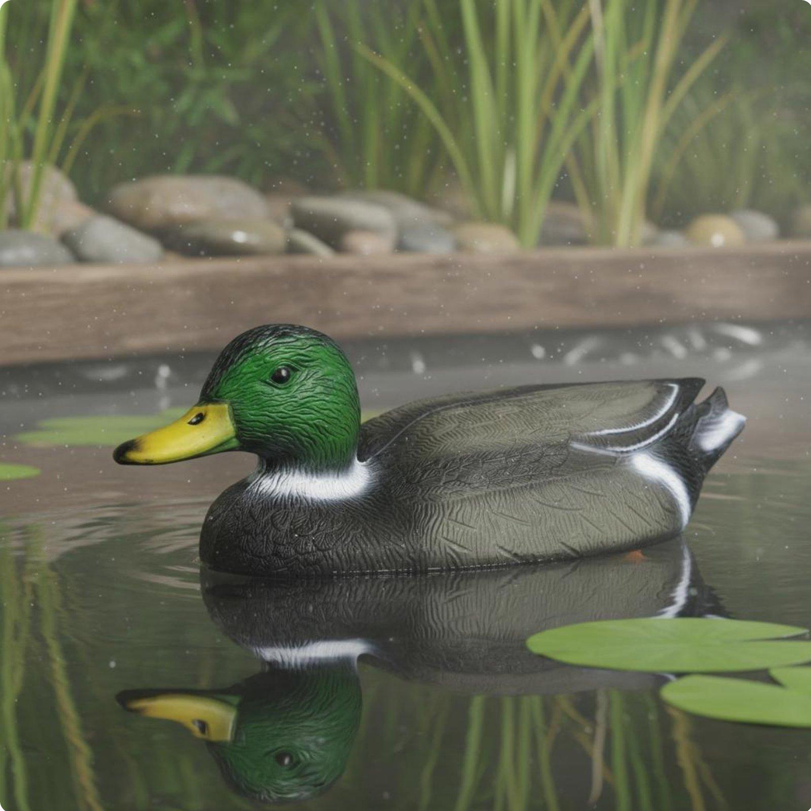 Floating Duck Decoy Realistic  - Hunting & Outdoor As ulasan dan harga