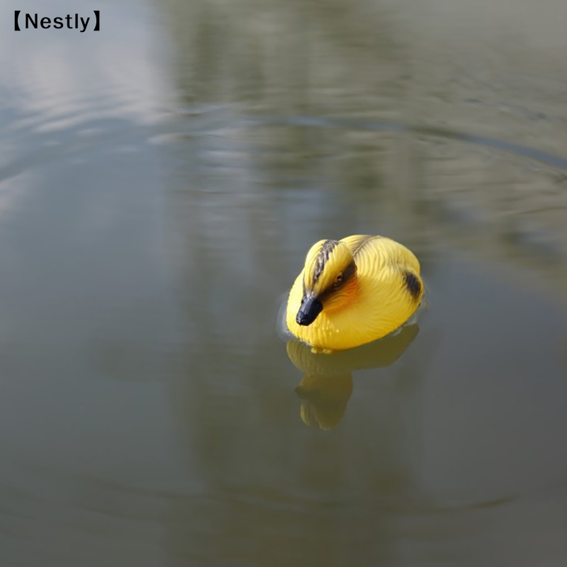 Floating Duck Ducklings Pond S - Decoy Duck Plastic ulasan dan harga