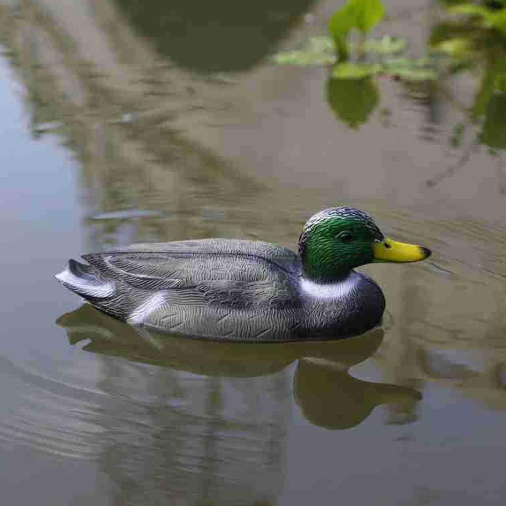 Outdoor Realistic Plastic Duck - Decoy Duck Plastic ulasan dan harga
