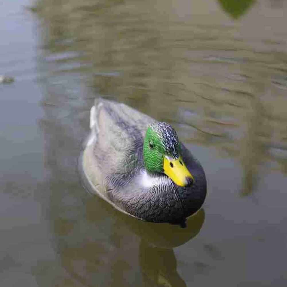 Outdoor Realistic Plastic Duck - Decoy Duck Plastic ulasan dan harga