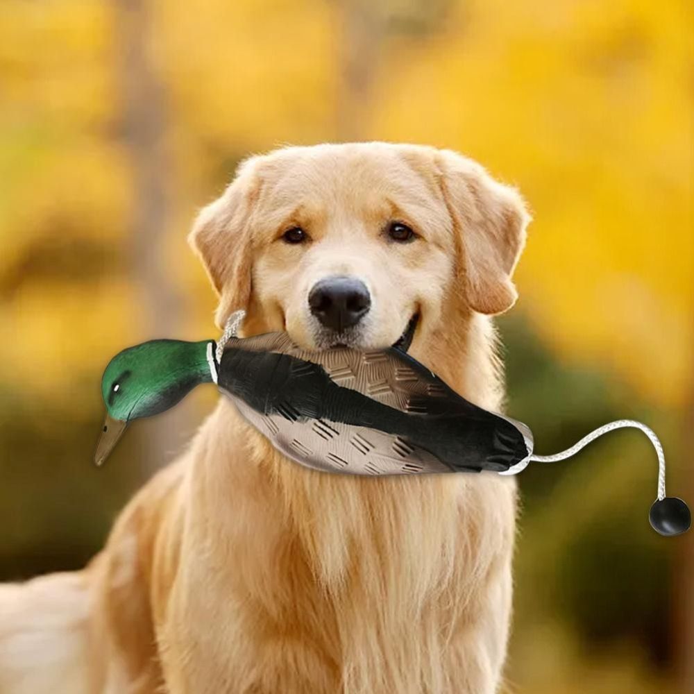 Mallard Duck Decoy Dog Trainin - Decoy Duck Plastic ulasan dan harga