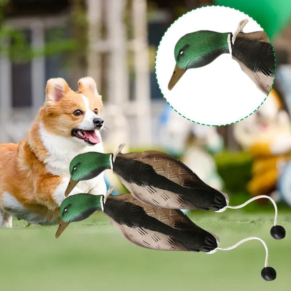 Mallard Duck Decoy Dog Trainin - Decoy Duck Plastic ulasan dan harga