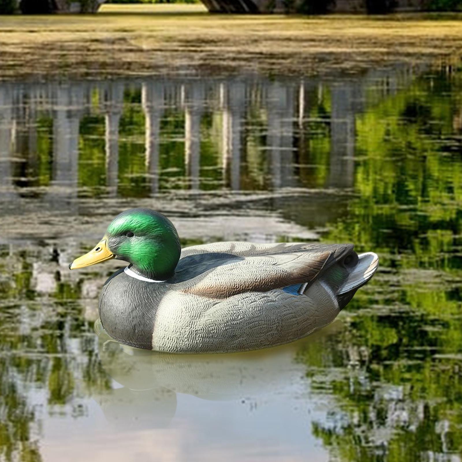 Anatomically Perfect Plastic D - Decoy Duck Plastic ulasan dan harga