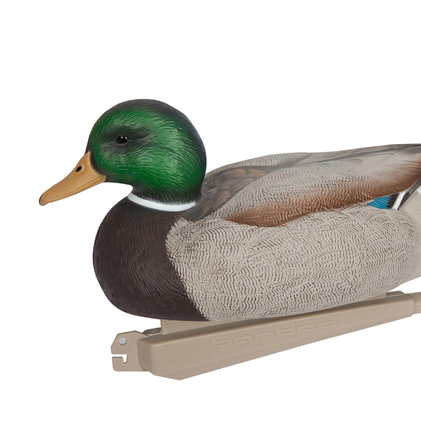 Anatomically Perfect Plastic D - Decoy Duck Plastic ulasan dan harga