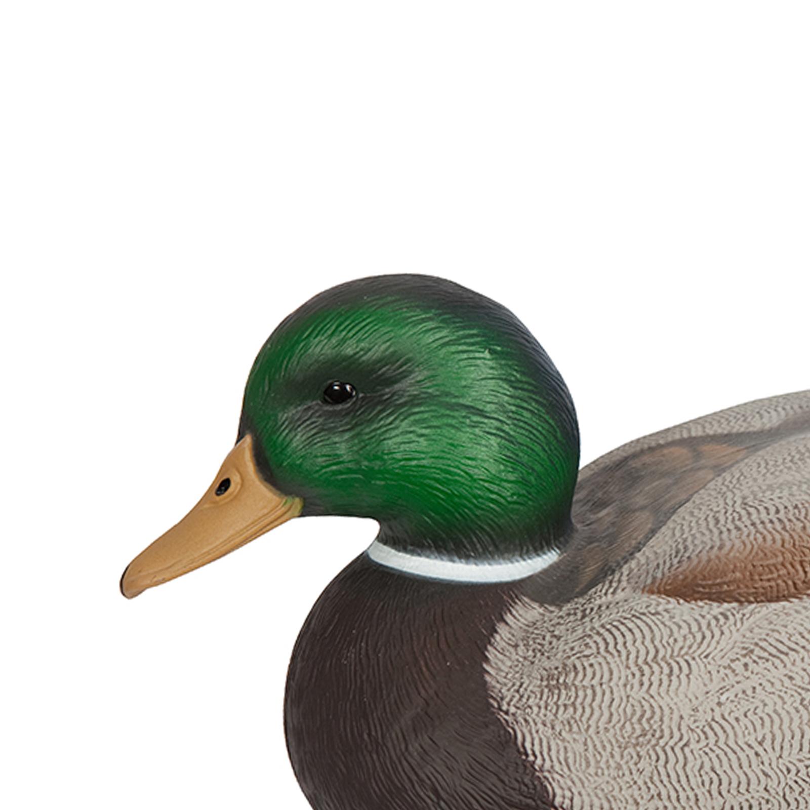 Anatomically Perfect Plastic D - Decoy Duck Plastic ulasan dan harga