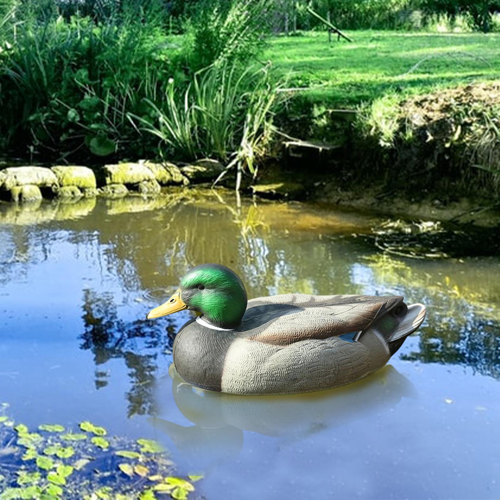 Anatomically Perfect Plastic D - Decoy Duck Plastic ulasan dan harga