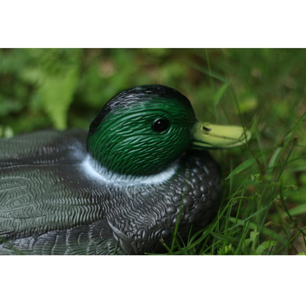 Lifelike Plastic Duck Decoy Ga - Decoy Duck Plastic ulasan dan harga