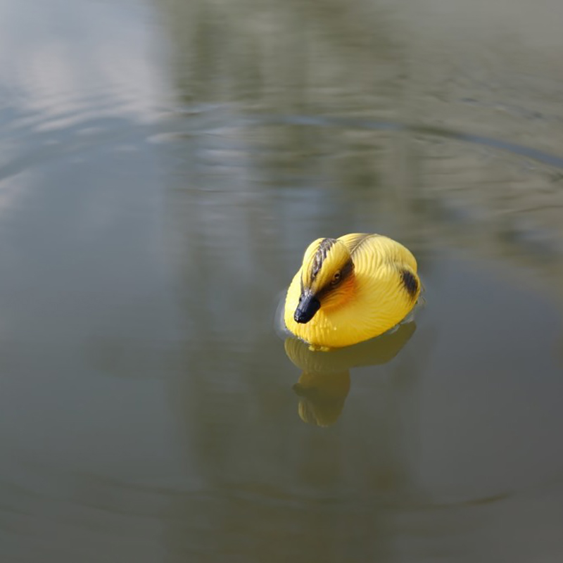 Floating Duck Ducklings Pond S - Decoy Duck Plastic ulasan dan harga