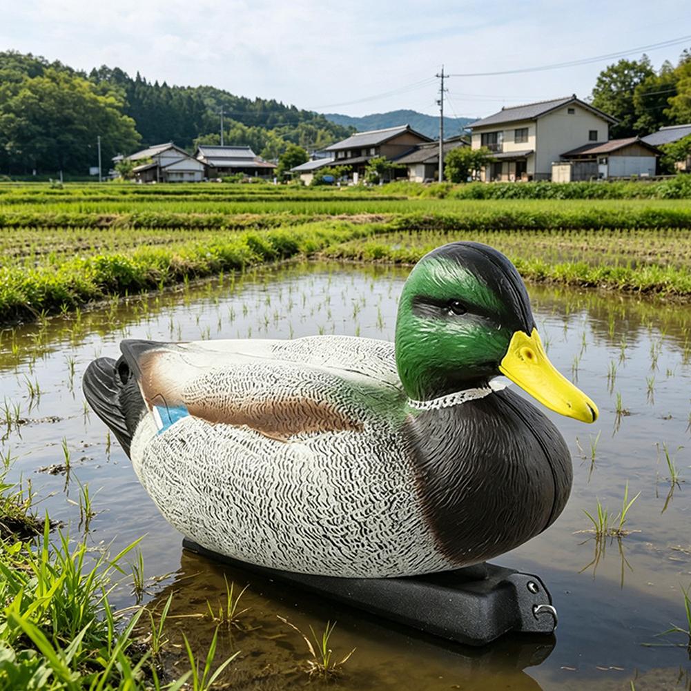 Floating Duck Decoy 3D Realist - Decoy Duck Plastic ulasan dan harga