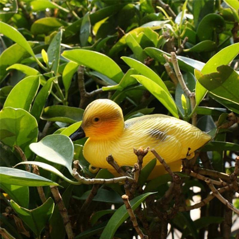 5Pack Floating Duck Fish Pond  - Decoy Duck Plastic ulasan dan harga
