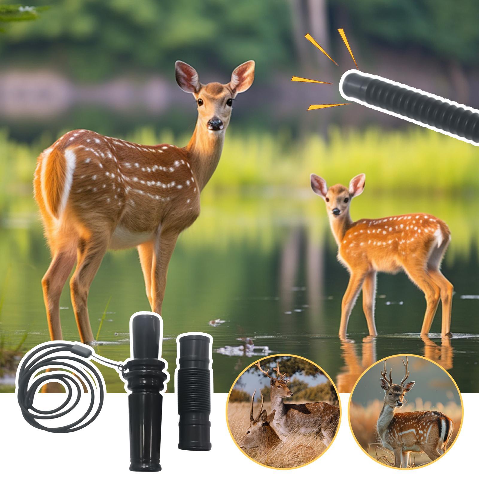 Lightweight Deer Hunting Grunt - Wildman Hunting & Outdoor Polokwane Photos ulasan dan harga
